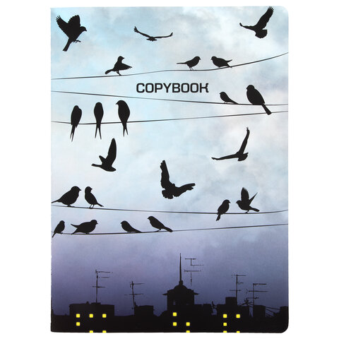 Тетрадь 60 л. в клетку обложка SoftTouch, бежевая бумага 70 г/м2, сшивка, В5 (179х250 мм), ТУМАН, BR
