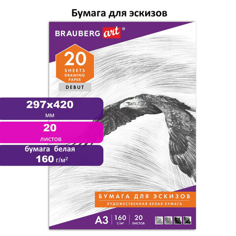 Папка для рисования БОЛЬШОГО ФОРМАТА А3, 20 л., 160 г/м2, BRAUBERG, 297х420 мм, "Орел", 125228