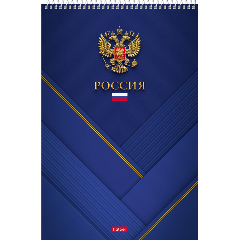 Блокнот Hatber Россия А4 80 листов разноцветный в клетку на спирали (198х300 мм)