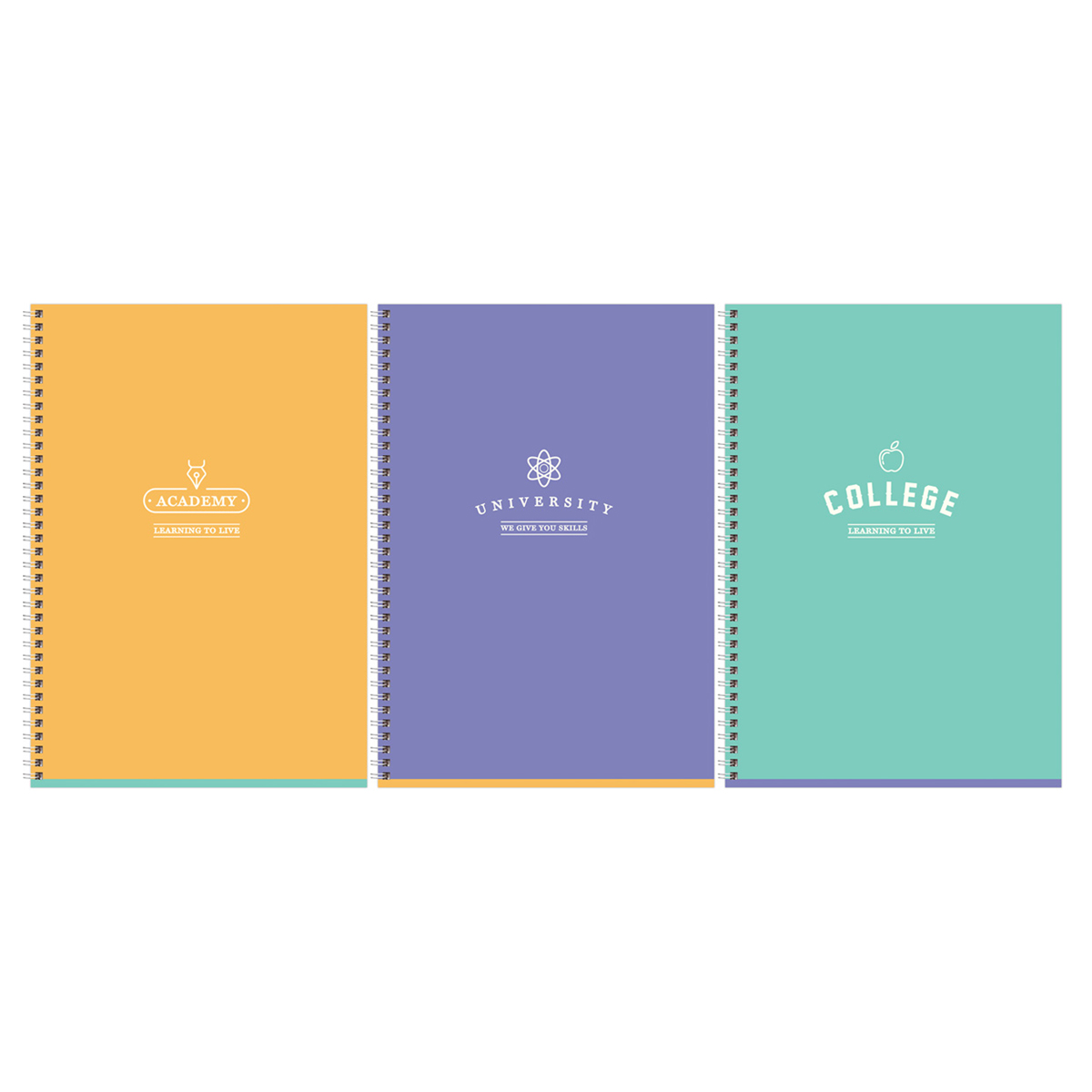 Тетрадь 80л., А4, клетка, на гребне BG "Academy", soft-touch ламинация Тетрадь 80л., А4, клетка, на гребне BG "Academy", soft-touch ламинация