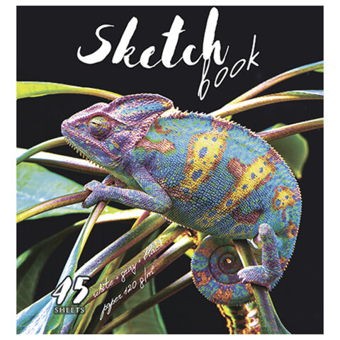 Скетчбук, белая, серая, черная бумага 120 г/м2, 170х195 мм, 45 л., скрепка, фольга, "Хамелеон", 9772