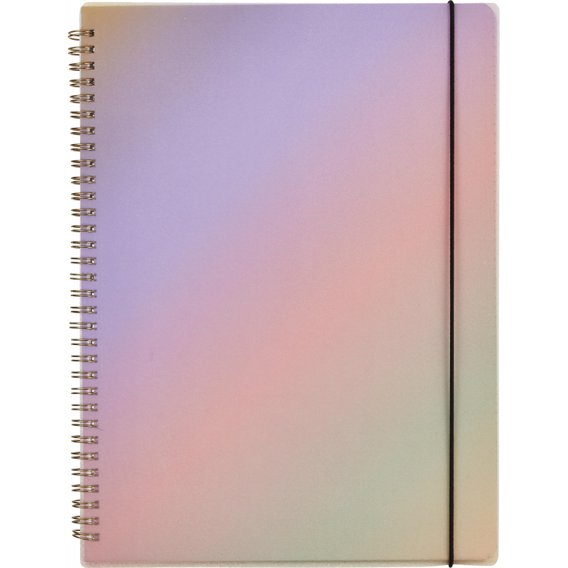 Бизнес-тетрадь Attache Selection Rainbow A4 80л,клетка,спираль218х294мм