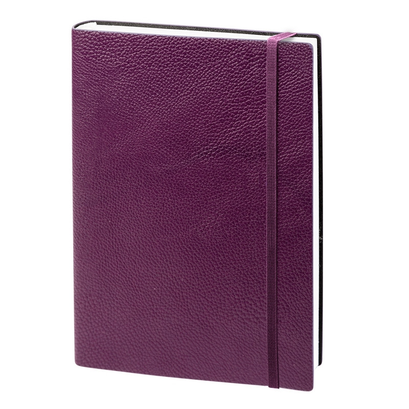 Ежедневник недатированный  фиолетовый, А5, 160л., Prime AZ683/violet