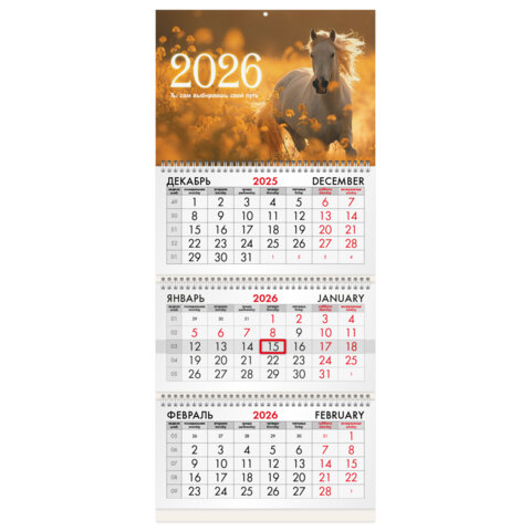 Календарь квартальный на 2026 г., 3 блока, 3 гребня, бегунок, офсет, BRAUBERG, "Символ года 5", 116769