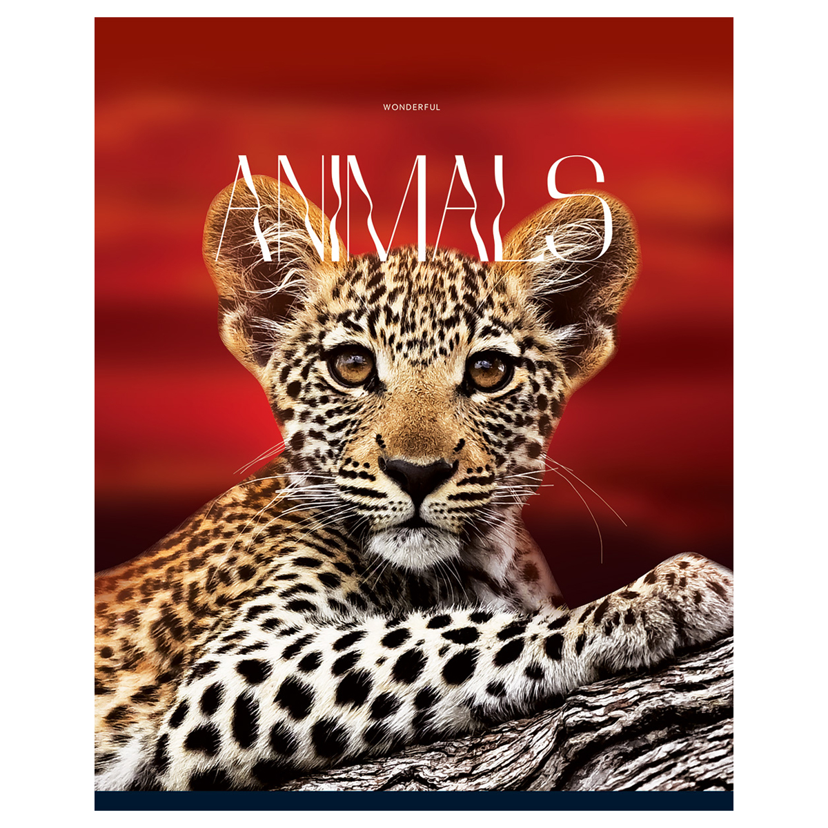 Тетрадь 96л., А5, клетка BG "Животные", глянцевая ламинация