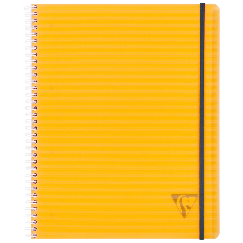 Бизнес-тетрадь 80л., А4+, клетка на гребне Clairefontaine "Proactiv'Book", 90г/м2, пластик. обложка, оранжевая