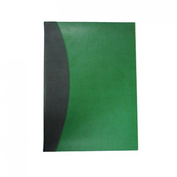 Папка адресная со сшивкой, квинель/рептилия, зеленая, А4