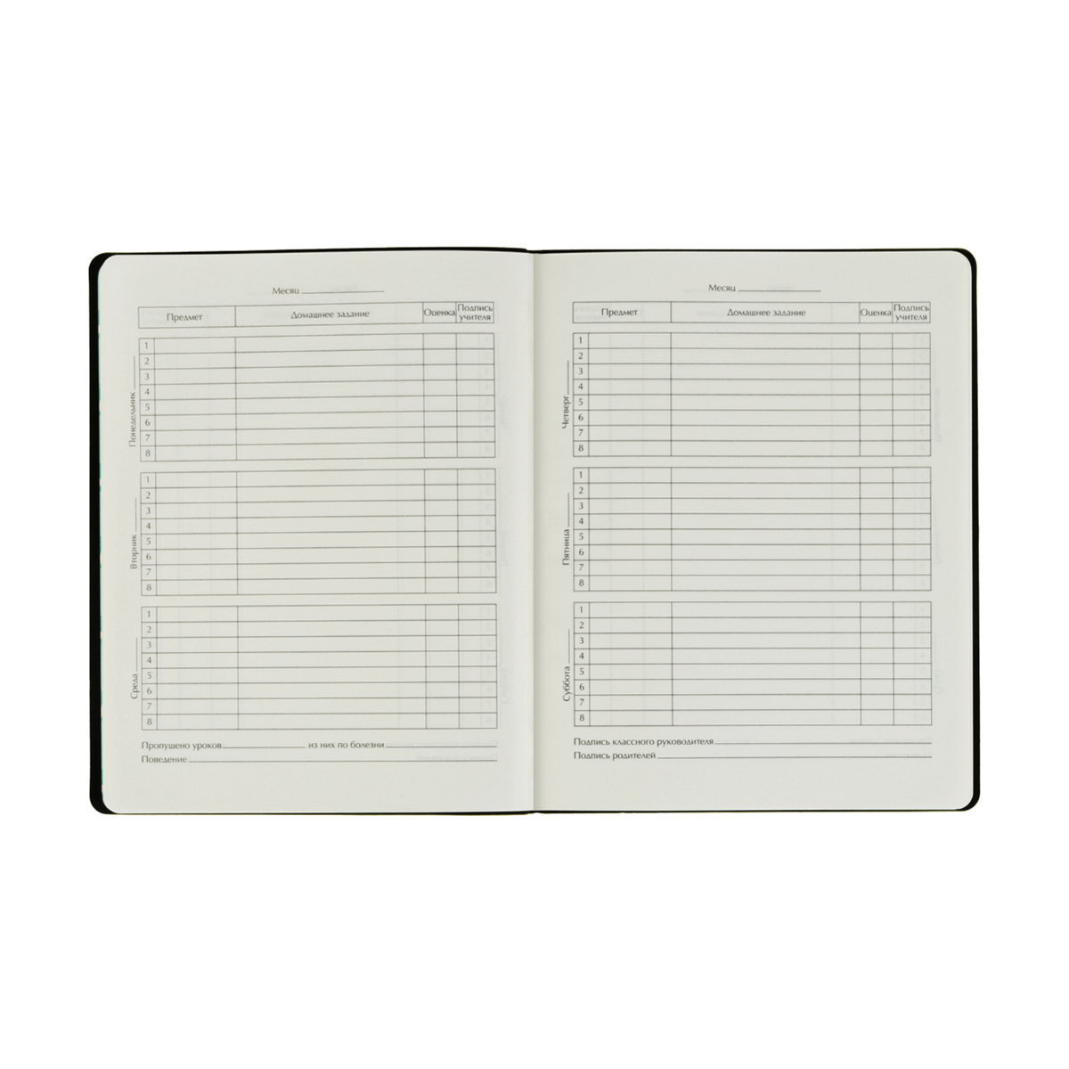 Дневник 1-11 кл. 48л. ЛАЙТ BG "Следуй за мечтами", матовая ламинация, тиснение фольгой