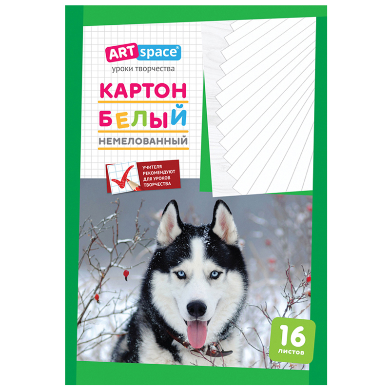 Картон белый A4, ArtSpace, 16л., немелованный, в папке