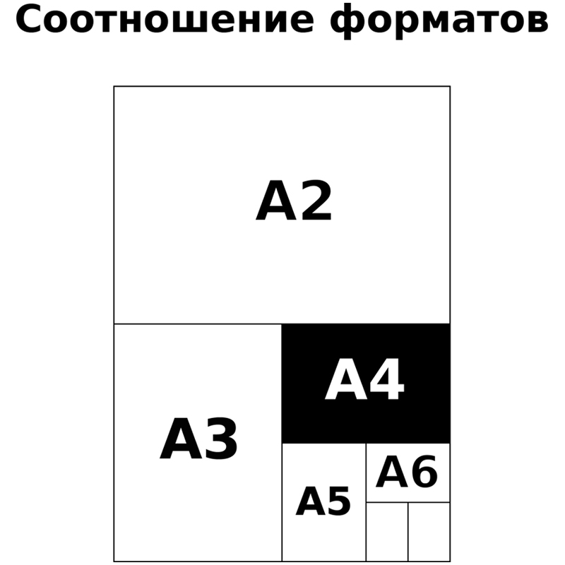 Альбом для рисования 24л., А4, на скрепке BG "Морской бриз"