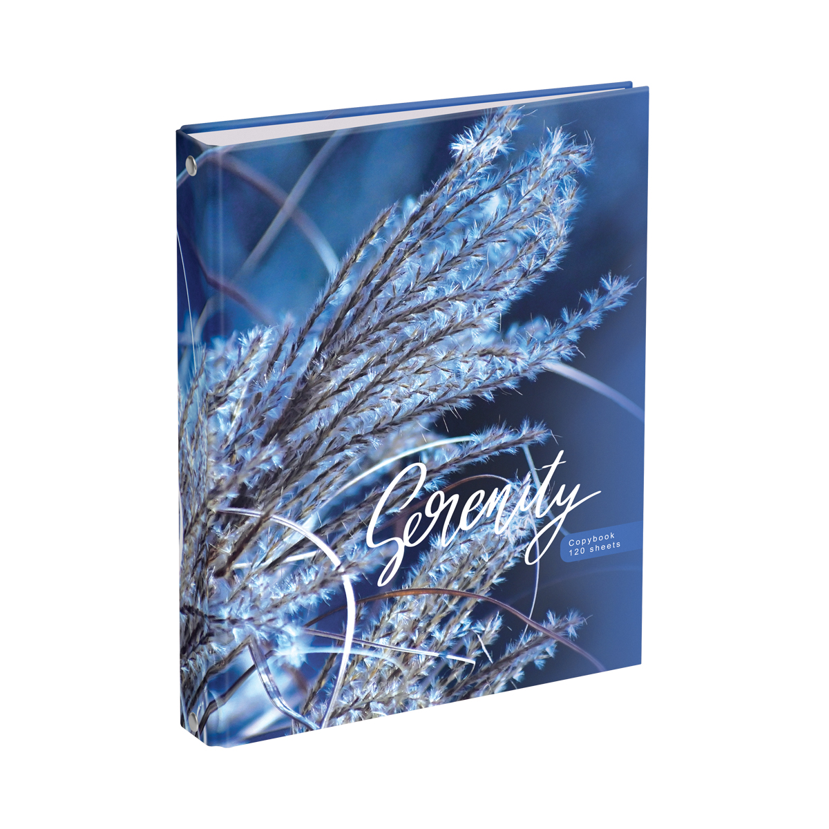 Тетрадь на кольцах А5, 120л., BG "Blue serenity", глянцевая ламинация, эконом Тетрадь на кольцах А5, 120л., BG "Blue serenity", глянцевая ламинация, эконом