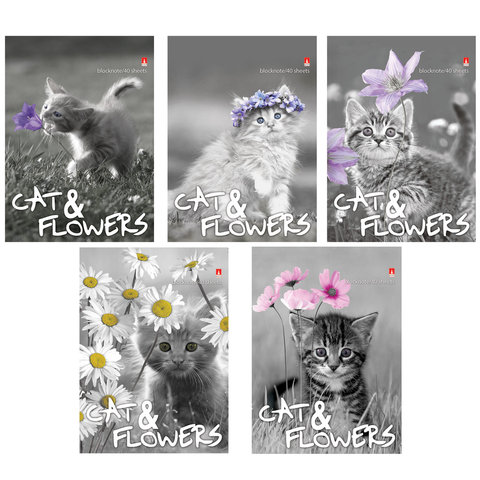 Блокнот А6, 40 л., гребень, ламинированный картон, клетка, Альт, (5 видов)