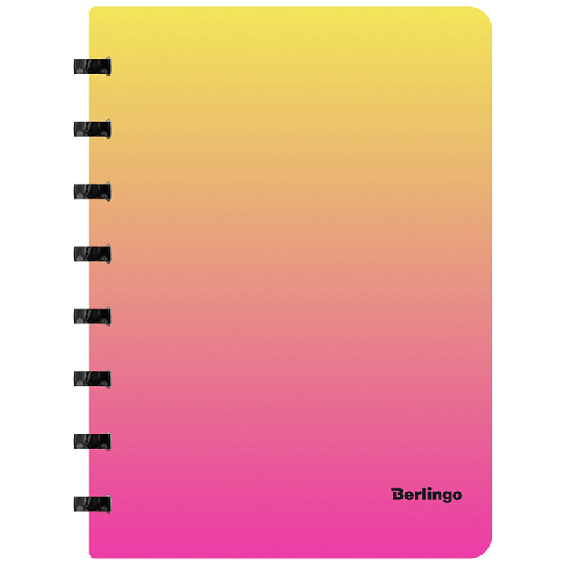 Бизнес-тетрадь А5+, 80л., Berlingo "Radiance", клетка, на кольцах, с возм. замены блока, 80г/м2, пластик. обложка 700мкм, линейка-