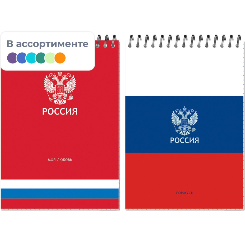 Блокнот А5 Россия 50л УФ лак клетка, спираль 2 дизайна, ассорти, 3344