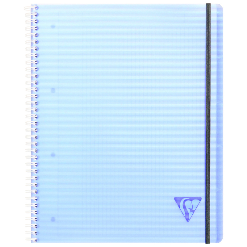 Бизнес-тетрадь 80л., А4+, клетка на гребне Clairefontaine "Proactiv'Book", 90г/м2, пластик. обложка, синяя