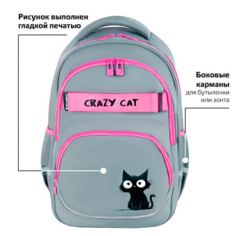 Рюкзак BRAUBERG MOTION, 2 отделения, 3 кармана, "Crazy cat", 41х28х17 см, 273115