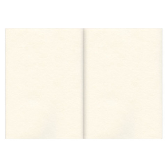 Скетчбук, слоновая кость 100 г/м2, 210х297 мм, 120 л., прошивка, BRAUBERG ART CLASSIC, 128960