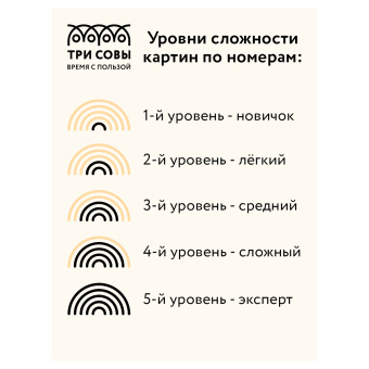 Картина по номерам на холсте ТРИ СОВЫ "Париж", 40*50, с поталью, акриловыми красками и кистями