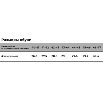 Сапоги мужские демисезонные Плутон цв. черный ЭВА р.41-42