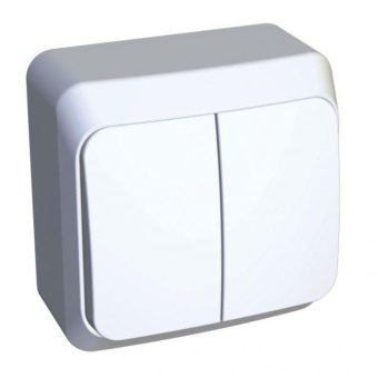 Выключатель 2-клав. SE Этюд Белый (BA10-002B) О/У