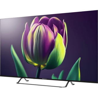 Телевизор Topdevice TDTV55CS06U_BK, UHD, смарт (WildRed)