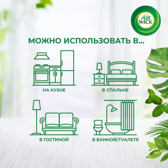 Сменный баллон для автоматического освежителя Air Wick Дикий гранат