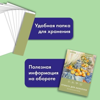 Папка для акварели А4, 10 л., 200 г/м2, 210х297 мм, BRAUBERG АКАДЕМИЯ, "Апельсины", 117743