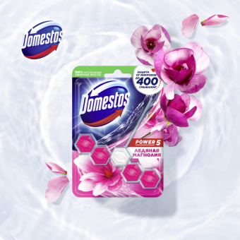 Блок для унитаза гигиенический Domestos Power 5 Ледяная магнолия
