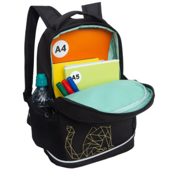 Рюкзак GRIZZLY школьный, анатомическая спинка, 2 отделения, для девочек, "GOLD CAT", 38х28х18 см, RG