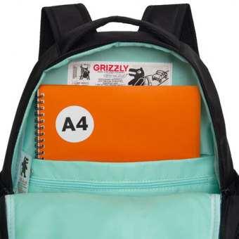 Рюкзак GRIZZLY школьный, анатомическая спинка, 2 отделения, для девочек, "GOLD CAT", 38х28х18 см, RG