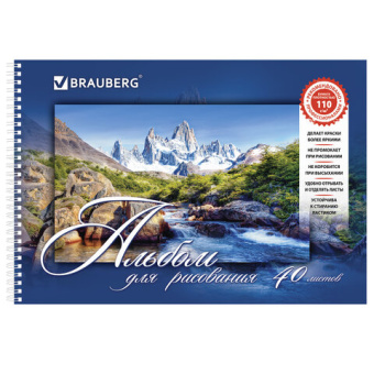 Альбом для рисования, А4, 40 листов, гребень, обложка картон, BRAUBERG, 205х290 мм, "Удивительная Пр