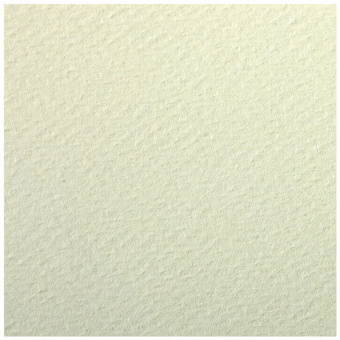 Цветная бумага 500*650мм., Clairefontaine "Etival color", 24л., 160г/м2, бледно-зеленый, легкое зерн