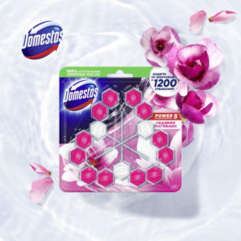 Блок для унитаза Domestos POWER 5 TRIO Ледяная магнолия 3х55гр на блистере