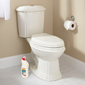 Средство для уборки туалета 750 г, ЛАЙМА PROFESSIONAL "Лимон-WC Гель", утенок, 604793