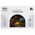 Гравюра с голографическим эффектом ТРИ СОВЫ "Япония", А3