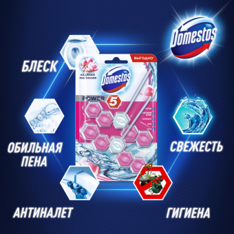 Блок для унитаза гигиенический Domestos Power 5 Duo Ледяная магнолия (2 штуки в упаковке)