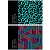 Альбом для рисования 24л., А4, на гребне ArtSpace "Узоры. Pattern on black"