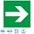 Знак безопасности E02-01 Направляющая стрелка (пластик,ф/л,200х200)