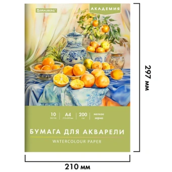 Папка для акварели А4, 10 л., 200 г/м2, 210х297 мм, BRAUBERG АКАДЕМИЯ, "Апельсины", 117743