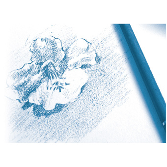 Скетчбук 30л., А5 Clairefontaine "Dessin a grain", на склейке, 180г/м2, мелкозернистая