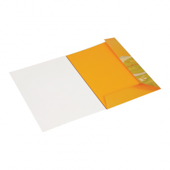 Цветная бумага A4, Мульти-Пульти, 8л., 8цв., тонированная, в папке, "Енот в Ирландии"