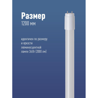 Лампа светодиодная Космос Lksm_LED20wG13T865GL 20Вт G13 Т8 6500К холод.бел