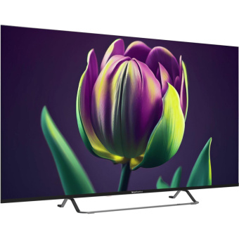 Телевизор Topdevice TDTV55CS06U_BK, UHD, смарт (WildRed)