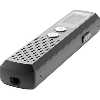 Диктофон цифровой Ritmix RR-120 8GB black