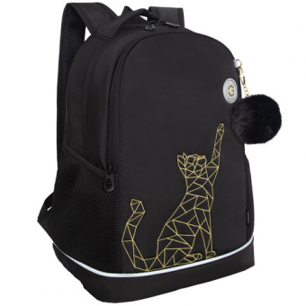 Рюкзак GRIZZLY школьный, анатомическая спинка, 2 отделения, для девочек, "GOLD CAT", 38х28х18 см, RG