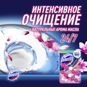 Блок для унитаза гигиенический Domestos Power 5 Duo Ледяная магнолия (2 штуки в упаковке)