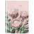 Бизнес-блокнот А5, 80л., евроформат, BG "Flowers. Protea", матовая ламинация, тиснение фольгой