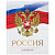 Дневник 5-11 класс 48 л., твердый, BRAUBERG, глянцевая ламинация, с подсказом, "Символика 2", 106067
