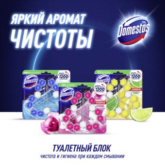 Блок для унитаза Domestos POWER 5 TRIO Ледяная магнолия 3х55гр на блистере