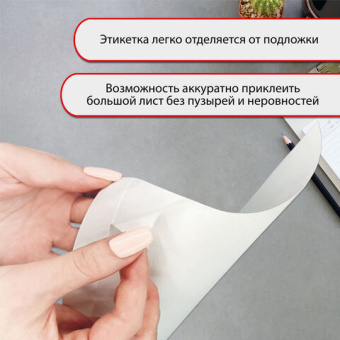 Этикетка самоклеящаяся 210х297 мм, 1 этикетка, белая, 70 г/м2, 50 листов, TANEX, сырье Финляндия